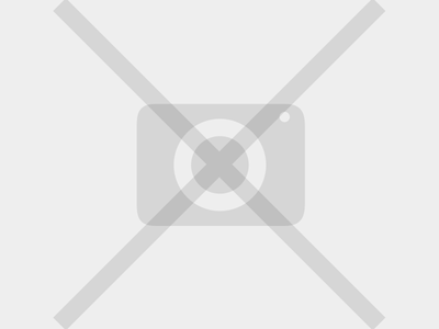 Sleeping Tiger Imports