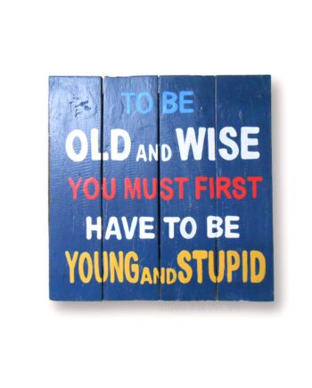 to be old and wise you must first be young and stupid wood painted plank sign - sleepingtigerimports.com