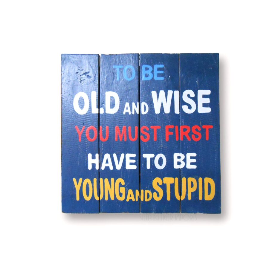 to be old and wise you must first be young and stupid wood painted plank sign - sleepingtigerimports.com